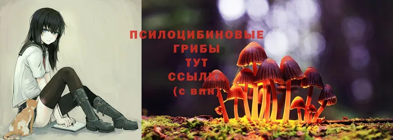 Галлюциногенные грибы Magic Shrooms  Багратионовск 